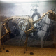 Marengo, en el Museo Nacional del Ejército de Sandhurst. Foto: Wikipedia